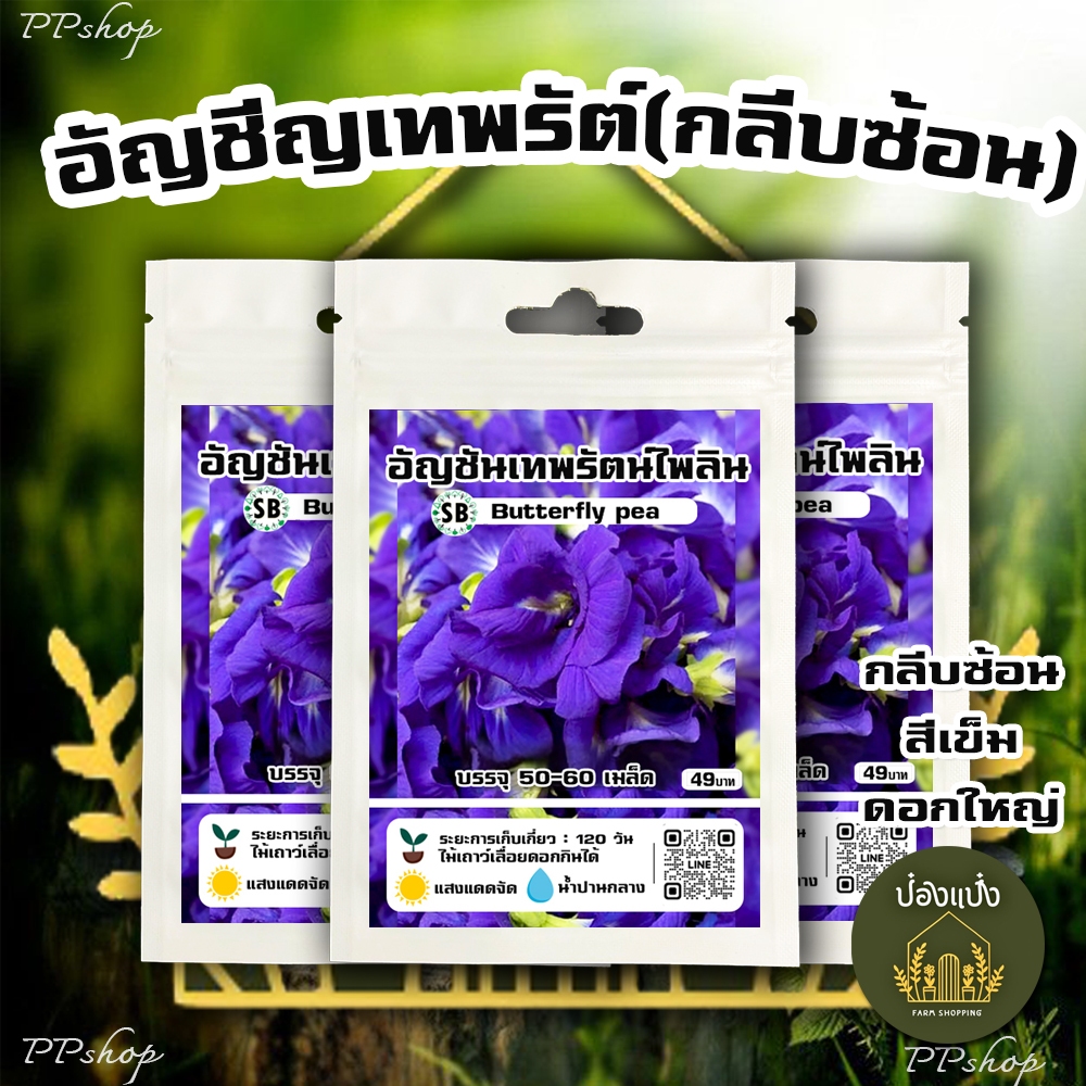 เมล็ดอัญชันพันธุ์เทพรัตน์ไพลิน สีม่วงเข้ม/กลีบ5ชั้น [บรรจุ 50-60 เมล็ด/ซอง] -PPshop
