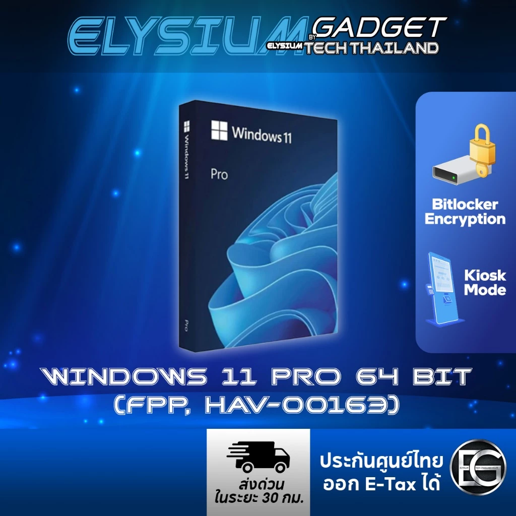 Windows 11 Pro 64 Bit FPP HAV-00163