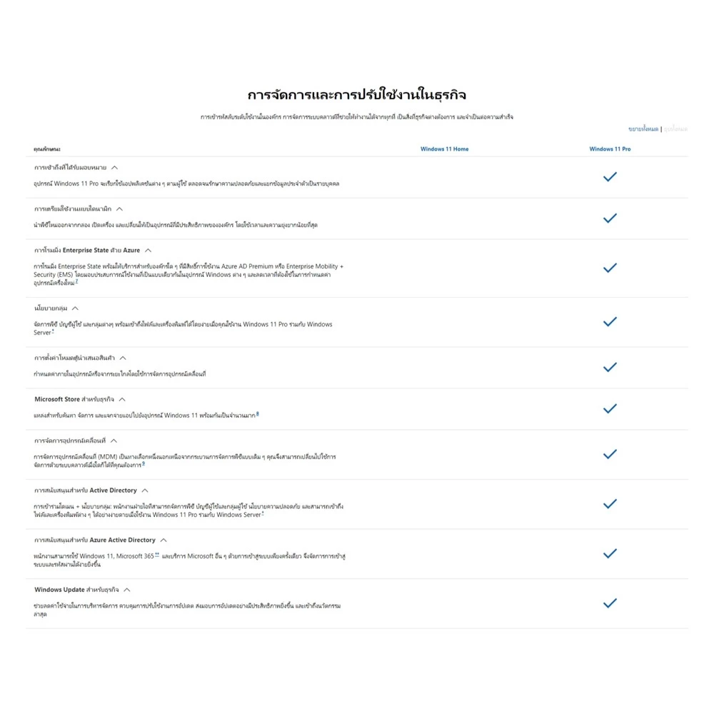 Windows 11 Pro 64 Bit FPP HAV-00163 thumbnail 5