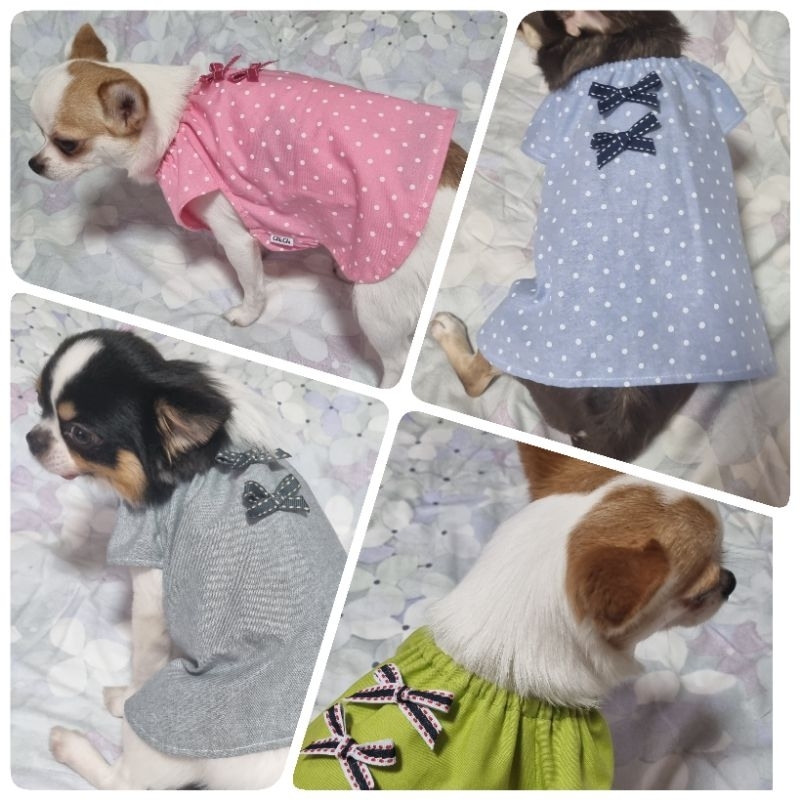 "เสื้อทรงสบาย" สุนัขตัวเล็ก 0.8-6.5 กิโล