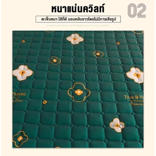 ผ้าปูที่นอนกันไรฝุ่น ผ้าปูที่นอนฝ้ายคลุม 360℃ (ฟรี2 ชิ้น ปลอกหมอน) 3.5/5/6ฟุต ชุดผ้าปูที่นอน ระบายอากาศ