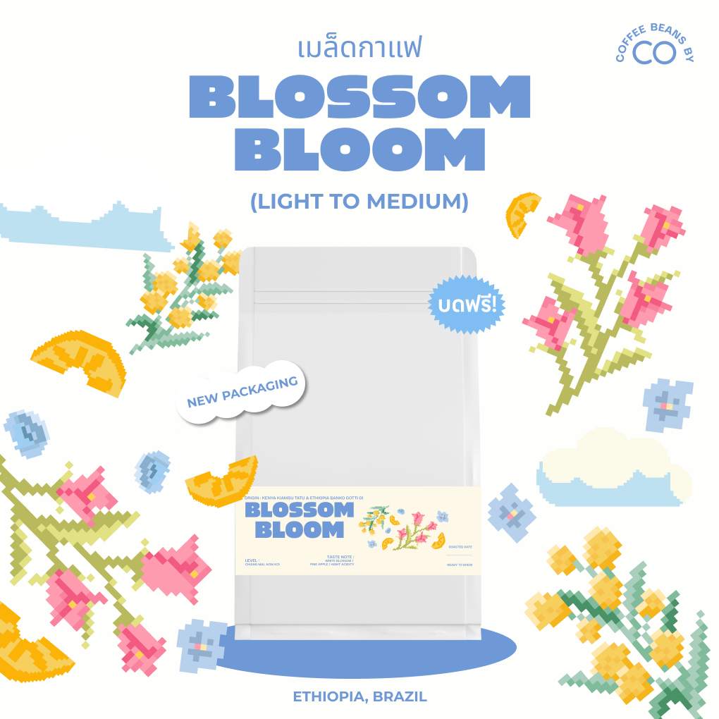 เมล็ดกาแฟ Blossom Bloom Coffee Beans 🌸🌷🍍กาแฟบลอสซั่ม บลูม
