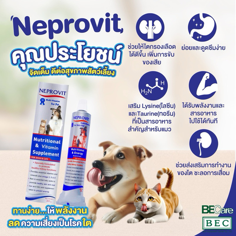 Neprovit for pet 30 กรัม หมดอายุ 24/03/2027 อาหารเสริม วิตามิน สารอาหาร