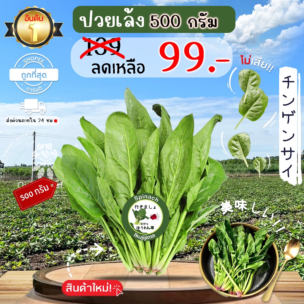 ปวยเล้ง ปลอดสารพิษ 500 ก. รสชาติกรอบ สด ใหม่ ใยอาหารสูง หวานออร์แกนิด เคลมได้ 1-2 วัน