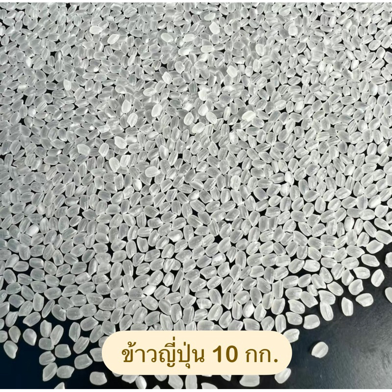 ข้าวญี่ปุ่น เกรด A ทำซูชิ 10 กก. นุ่ม อร่อย ( ใช้กระสอบพิมพ์เสียแกะข้าวในดูก่อนนะคะ )