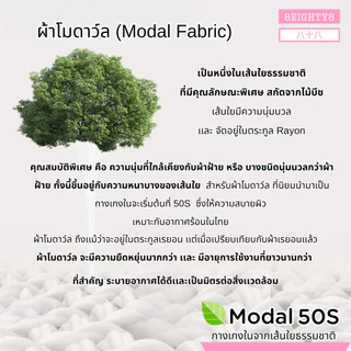 8Eighty8 กางเกงในคนท้องเอวสูง คุณเเม่ตั้งครรภ์ หลังคลอด ผ้าโมดาล์ว Modal 50S ยับยั้งแบคทีเรีย นิ่ม