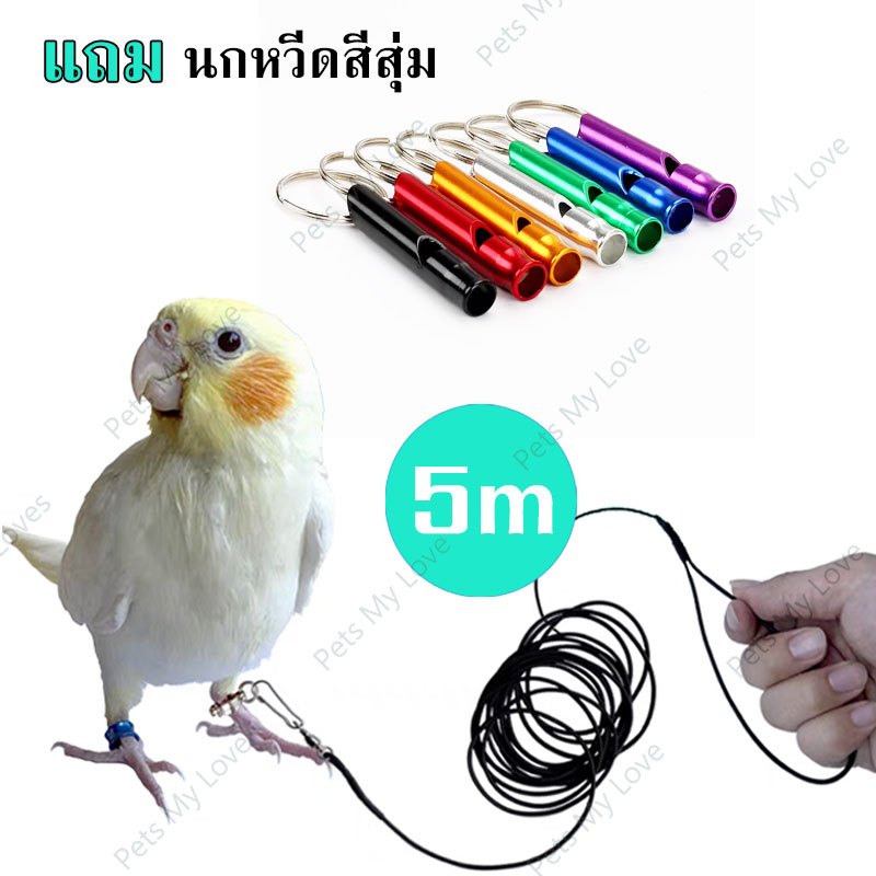 5m เชือกนก พร้อมห่วงขานก สายจูงนก เชือกจูงนก  สายคล้องนก สายเชือกฝึกบิน สายจูงนกแบบยืดหยุ่นได้ เหมาะสำหรับนกแก้ว ฟอพัส
