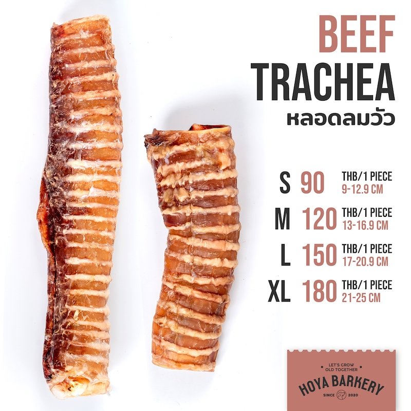 หลอดลมวัวอบแห้ง ขนมน้องหมา ธรรมชาติ 100% Dehydrated Beef Trachea Hoya Barkery Dog treat