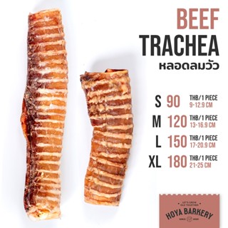 หลอดลมวัวอบแห้ง ขนมน้องหมา ธรรมชาติ 100% Dehydrated Beef Tra…