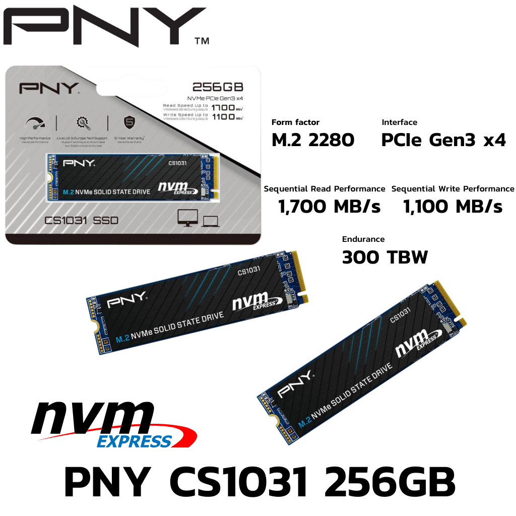 256 GB SSD (เอสเอสดี) PNY CS1031 M.2 NVME (M280CS1031-256-CL)