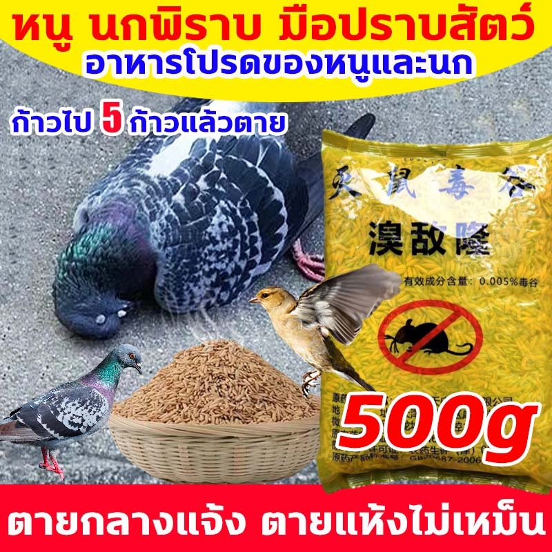 แลนเนท ยาเบื่อนก ยาฆ่านกพิราบ 500กรัม ยากำจัดนกพิราบ ทำลายอวัยวะภายในตายใน 1วัน แห้งเร็วและไม่มีกลิ่น เห็นผลชัวร์ 100%.