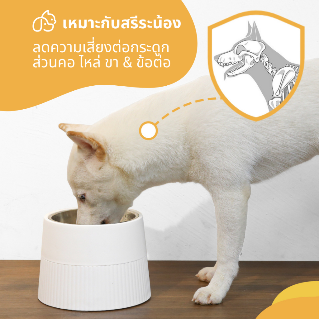 [พร้อมส่ง] ชามพลาสติก-แสตนเลสฟู้ดเกรด 2 ชั้น เหมาะสำหรับทั้งน้องหมาน้องแมว ทุกไซส์ทุกขนาด - รูปที่ 4