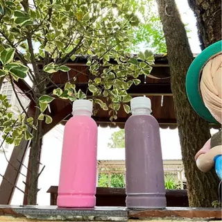 ขวดกลมเรียบอ้วน 250มล. พร้อมฝา ขวดชานม ทรงสวย 100 ใบ/ออเดอร์