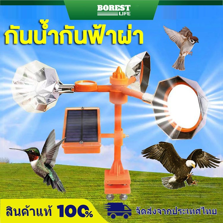 BOREST เครื่องไล่นก กลางแจ้งพลังงานแสงอาทิตย์ อัลตราโซนิคขับไล่นก เครื่องไล่นก กันน้ำ อัลตราโซนิก เสียง30ชนิด กำจัดนก