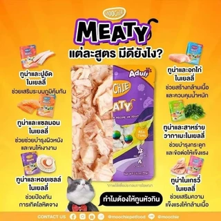 Moochie อาหารเปียกแมว มูชี่ ไม่เติมเกลือ เพื่อสุขภาพน้องแมวขนาด 70 g (12ซอง)
