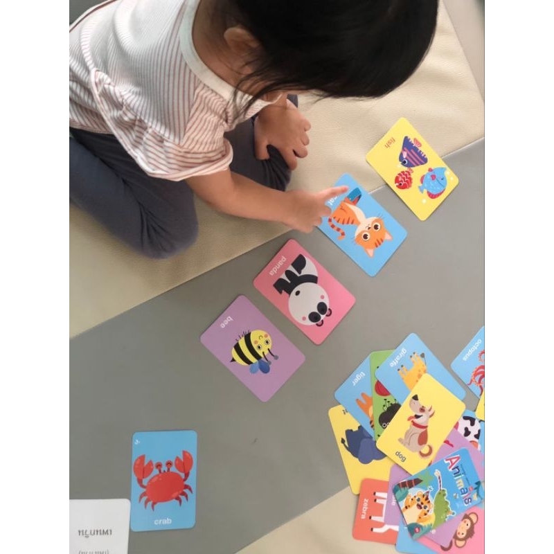 flashcard บัตรภาพคำศัพท์ หมวดสัตว์