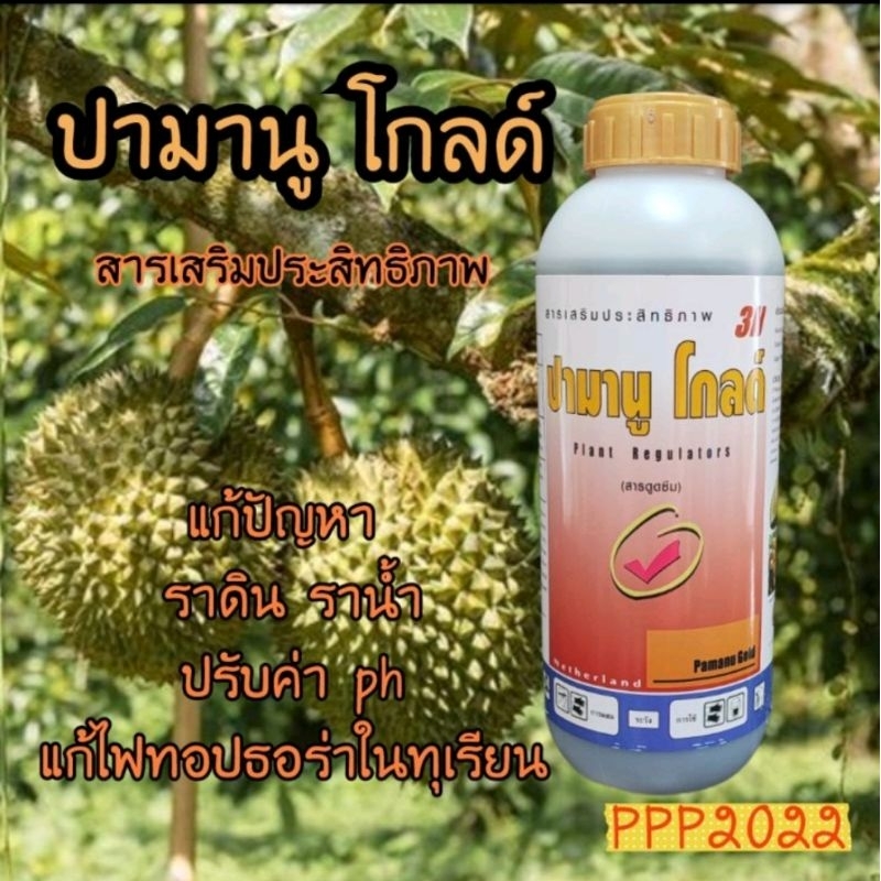 ปามานูโกลด์ สารเสริมประสิทธิภาพขนาด1ลิตรเหมาะกับทุเรียนที่มีปัญหารากเน่าโคนเน่าไฟทอปธอร่า