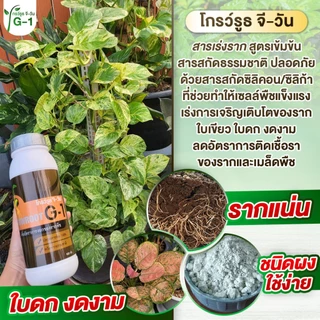 เร่งราก ปราบเชื้อรา (โกรว์รูธ จีวัน+ แอนติฟังกัส) รากดี ใบดก ต้นสมบูรณ์ ปลอดเชื้อราโรคพืช