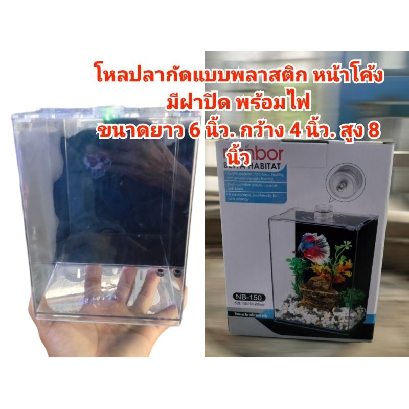 โหลปลากัด เป็นพลาสติกใส พร้อมไฟฝาปิด ขนาด ความยาว 6 นิ้ว. ความกว้าง 4 นิ้ว.สูง 8 นิ้ว