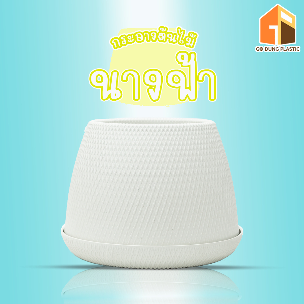 Go Dung Plastic กระถางต้นไม้ นางฟ้า พร้อมจานรอง