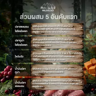 อาหารแมวแบบเม็ดโฮลิสติกเกรนฟรี ไวลด์โอโลจี GLOWING TINY สำหรับแม่แมวและลูกแมวหย่านม [ GT ]