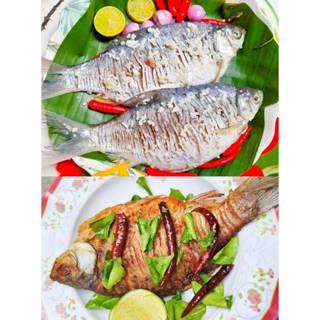 ปลาส้มไร้ก้าง(ปลาตะเพียน) อร่อย สะอาด ถูกหลักอนามัยขนาด 440-…