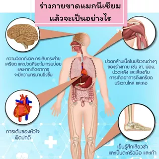 มือชา ตะคริว เหน็บชา ไมเกรน ปวดประจำเดือน เครียด นอนไม่หลับ แมกนีเซียม magnesium Bio Magnesium Plus