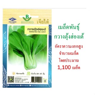 5 ฟรี 1 คละได้ทั้งร้าน เมล็ดพันธุ์ กวางตุ้งฮ่องเต้  เจียไต๋ …