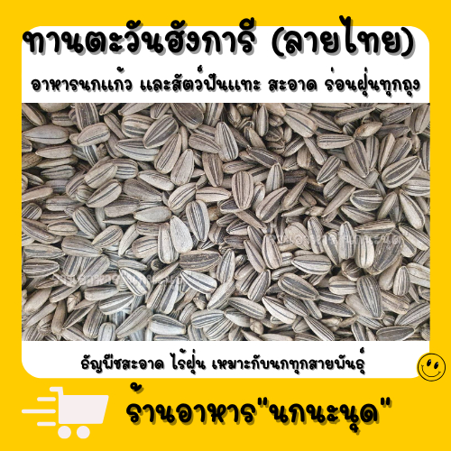 ทานตะวันนกแก้ว *เล็ก*ขนาด 1Kg. ธัญพืช อาหารนก อาหารนกเล็ก เลิฟเบิร์ด หงหยก ฟอพัส อาหารนกแก้ว ธัญพืชนก