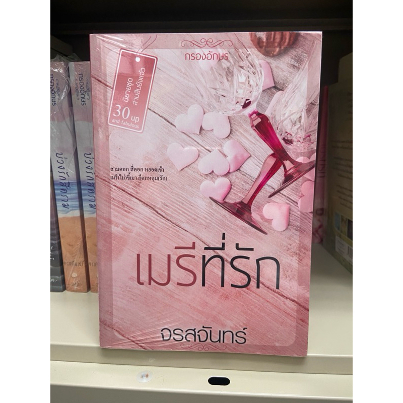 ส่งฟรี/เก็บปลายทาง [หนังสือมีตำหนิ] นิยาย เมรีที่รัก โดย จรสจันทร์