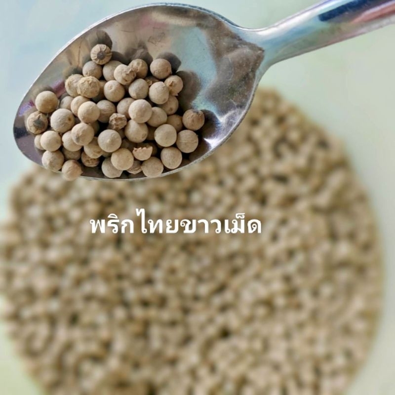 พริกไทยขาว พริกไทย พริกไทยเม็ด พริกไทยขาวเม็ด  White Pepper Corn 10  กรัม