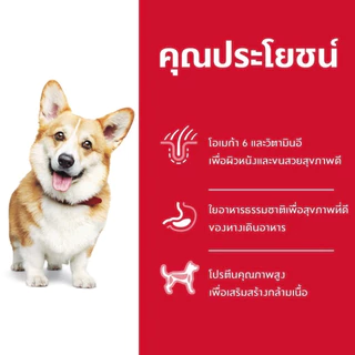 [ล็อตใหม่] Hill's Science Diet Adult Small Bites อาหารสุนัข ฮิลส์ สุนัขโต หมา เม็ดเล็ก อายุ 1-6 ปี กระสอบ 12 kg