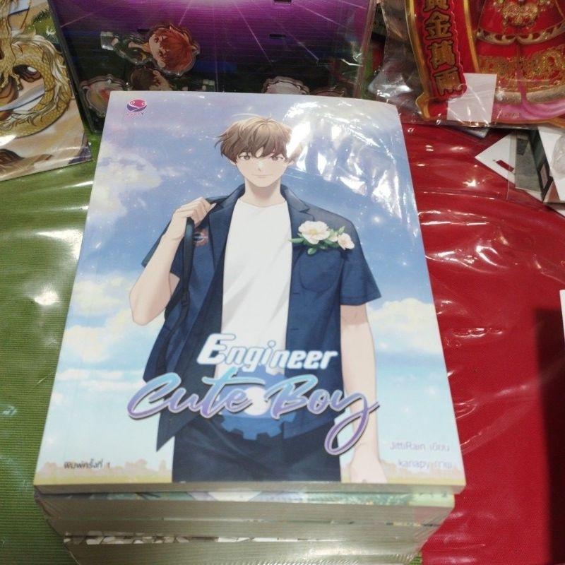 นิยายวายชุดวิศวะ (วิศวะกรรมโยธา, วิศวกรรมประสาท,วิศวะกับไฟฟ้า+Engineer Cute Boy) ครบชุดสภาพดี (ในซีล