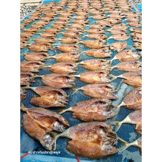 ปลาทูปลาทูแขกแดดเดียว.หอมอร่อยทำจากชาวประมงสดใหม่