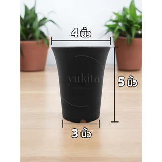 (ยกแพ็ค5-25ใบ) กระถางต้นไม้ กระถางปากแตร กระถาง กระถางไม้กราฟ กระถางแคตตัส ทรงสูง 4 นิ้ว