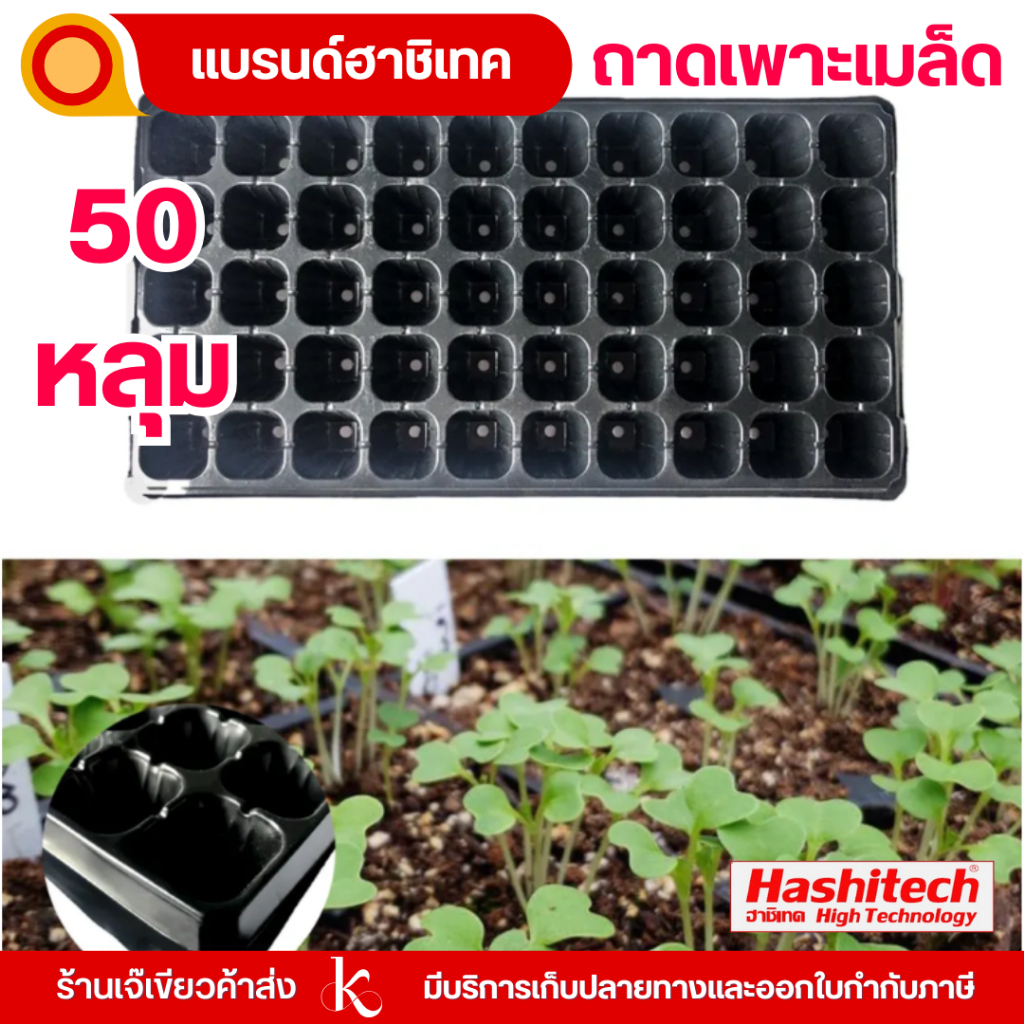 ถาดเพาะกล้า ถาดเพาะเมล็ด 50 หลุม เพาะชำ เมล็ด ต้นอ่อน ไฮโดร by เจ๊เขียวค้าส่ง