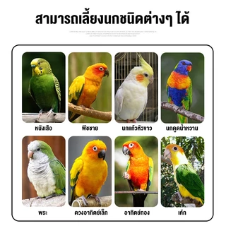🐦กรงนก ขนาดกลาง/เล็ก กรงชูการ์ กรงกระรอก เคลือบกันสนิม ขนาด 46x46x94cm สามารถเลี้ยงได้ทุกขนาด เล็ก กลาง ได้ครบตามรูป