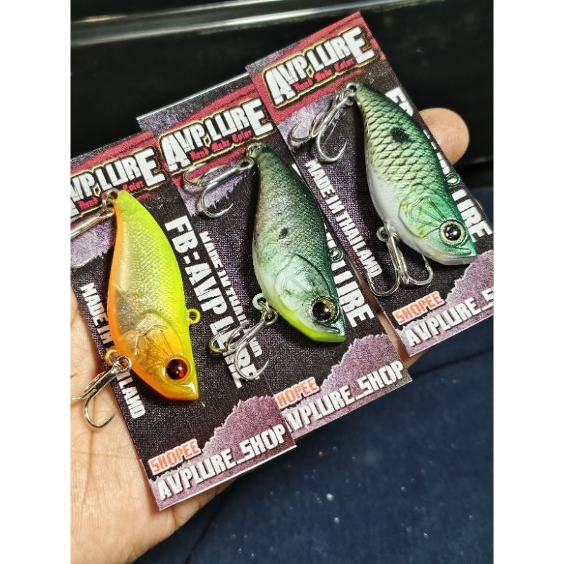 AVP VIB. หลังแอ่น สีลูกปลา