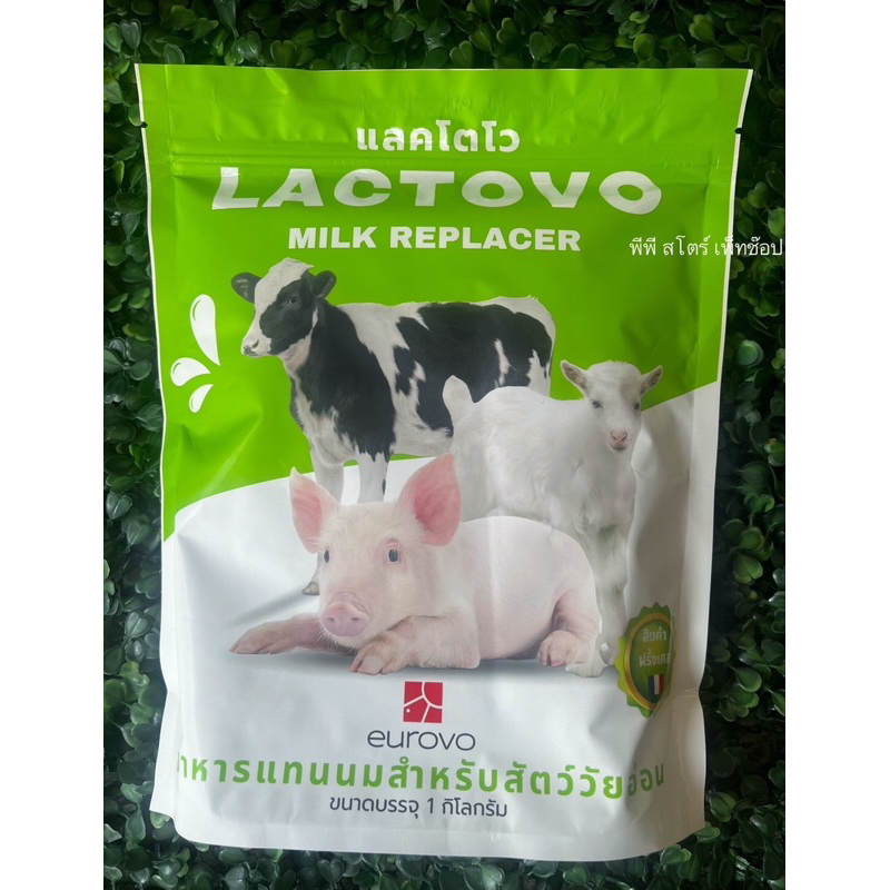 นมผงสำหรับลูกสัตว์ นำเข้าจากประเทศฝรั่งเศส Lactoplus/Lactovo รูปที่ 4