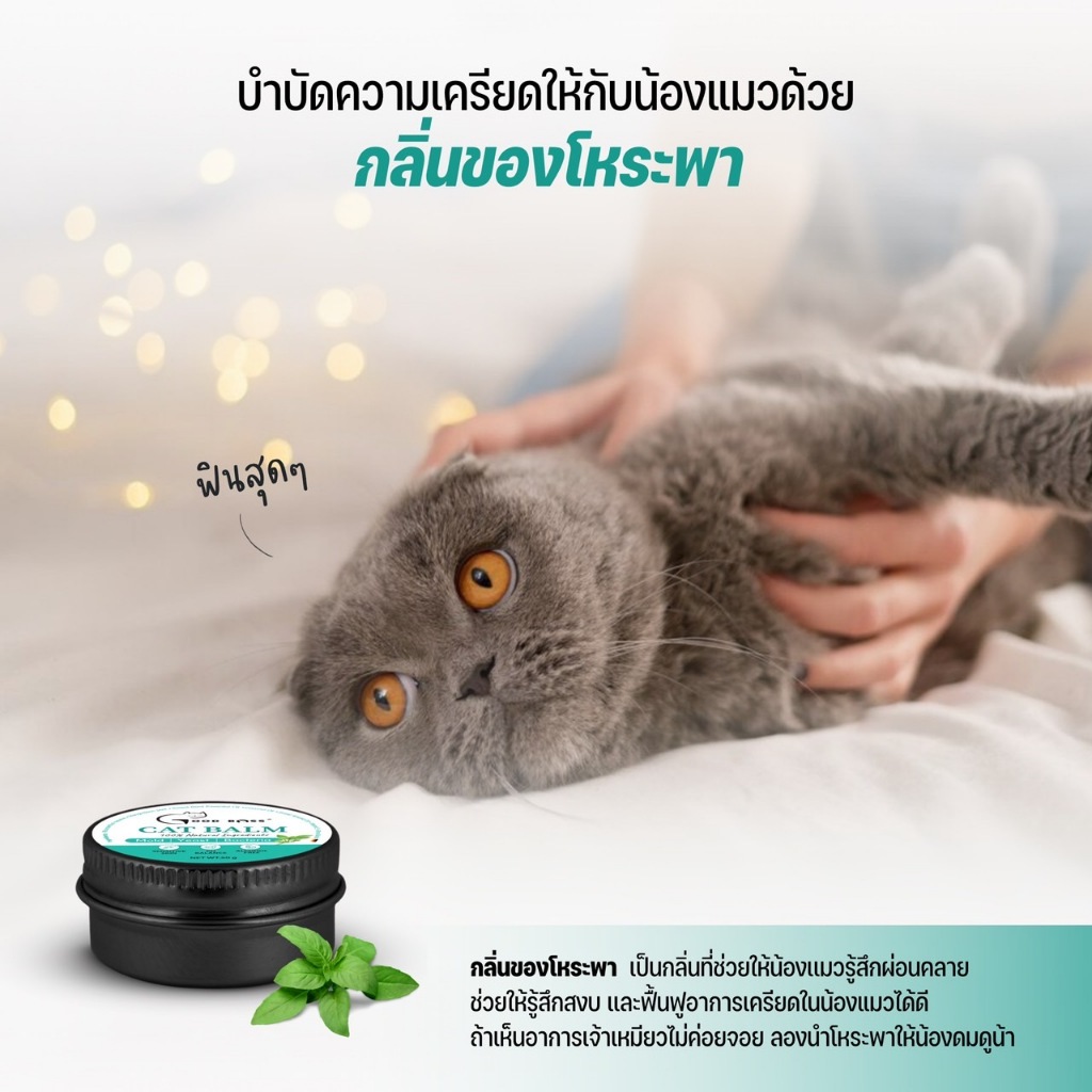 Goodboss Cat Balm บาล์มสำหรับเเมว ขนาด 50 กรัม เชื้อรา ยีสต์ ลดอาการคัน เกา ขนร่วง ผลิตภัณฑ์ออแกนิค - รูปที่ 7