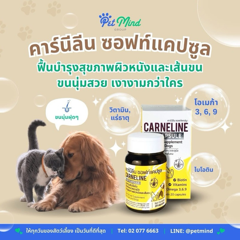 Carneline 20 SoftCapsule Exp.07/09/2026 อาหารเสริมบำรุงเส้นขน และสุขภาพผิวหนัง หลุดการหลุดร่วง รากขนแข็งแรง ขนมันสวย