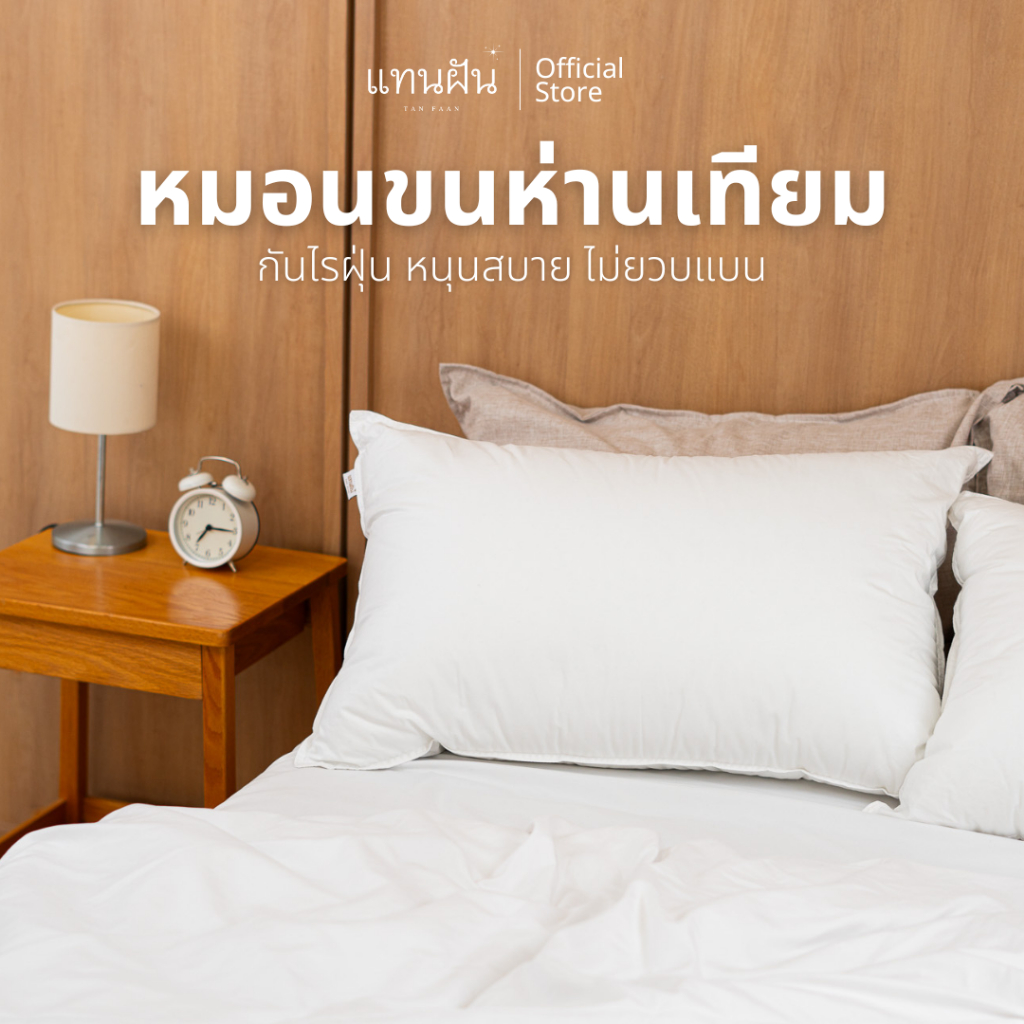 [แทนฝัน] หมอนขนห่านเทียม กันไรฝุ่น หนุนสบาย ไม่ยวบแบน หมอนโรงแรม 5 ดาว