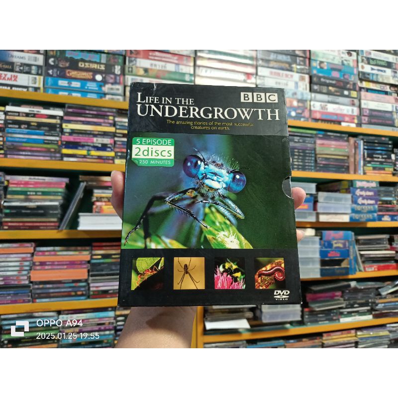 สารคดี LIFE THE UNDERGROWTH (DVD) เสียงไทย