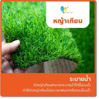 หญ้าเทียม หญ้าเทียมปูพื้น อุปกรณ์ตกแต่งสวน แผ่นหญ้าเทียม หญ้าปลอม หญ้าแผ่น สนามหญ้า หญ้าปูพื้นสนาม