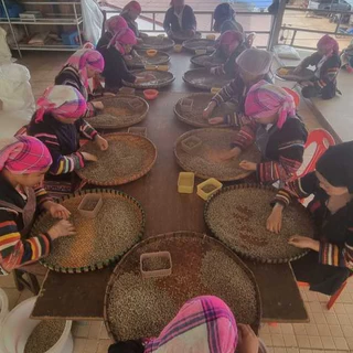 เมล็ดกาแฟสูตรผสมอาราบิก้าโรบัสต้า - คั่วกลางค่อนเข้ม สูตร MB 250 กรัม