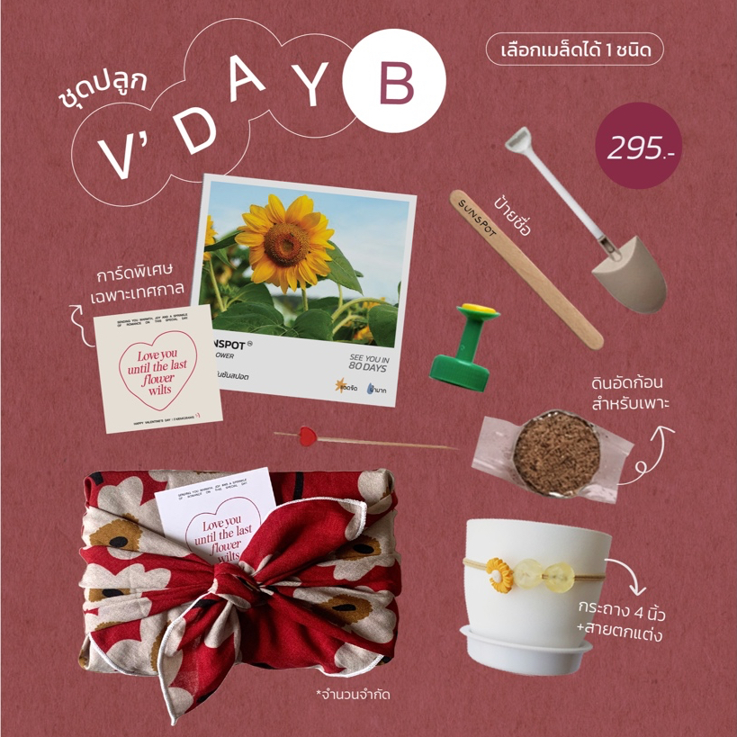 โค้ด FARMVลด 20฿ l ชุดปลูกของขวัญ V'Day B l ห่อผ้า furoshiki สไตล์ญี่ปุ่น *คละสี* พร้อมการ์ดพิเศษเฉพาะเทศกาล