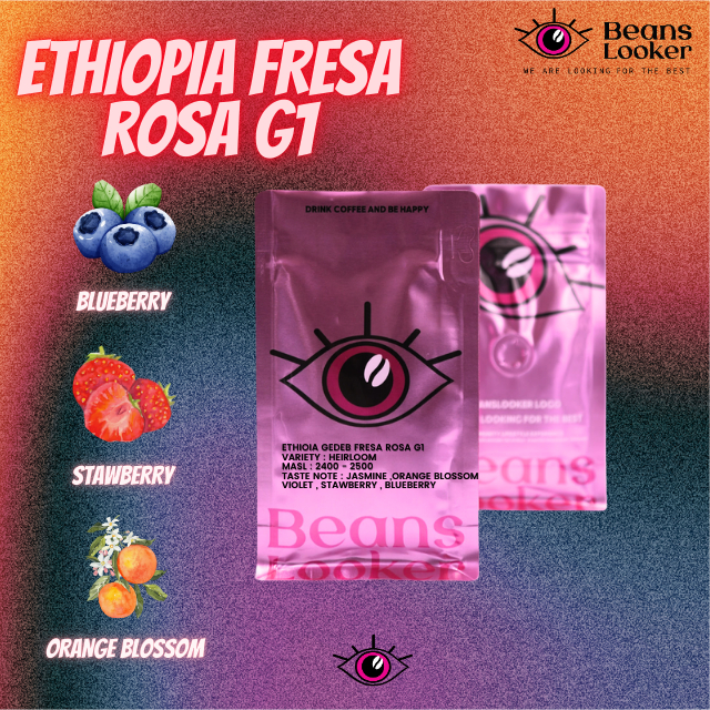 ETHIOIA GEDEB FRESA ROSA G1