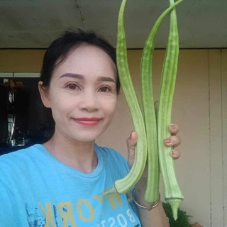 เมล็ดพันธุ์กระเจี๊ยบงาช้าง