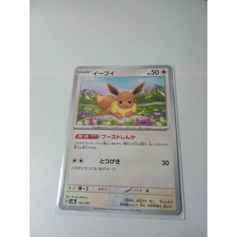 การ์ดEeveeอีวุย-การ์ดแท้ภาษาญี่ปุ่น Pokemon