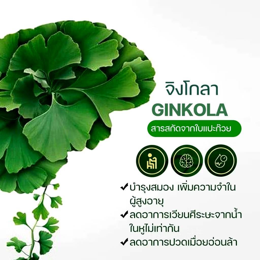 เวียนหัว บ้านหมุน น้ำในหูไม่เท่ากัน บำรุงสมอง สกัดจากแป๊ะก๊วย วิตามินบีรวม ความจำเสื่อม - รูปที่ 6